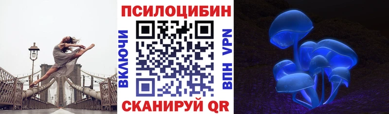 Псилоцибиновые грибы мицелий Петров Вал